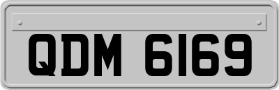 QDM6169