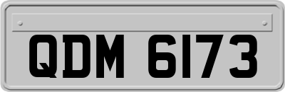 QDM6173