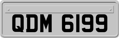 QDM6199