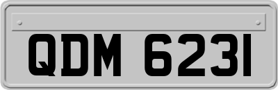 QDM6231