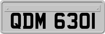 QDM6301