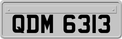 QDM6313