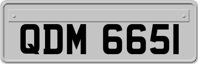 QDM6651
