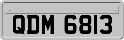 QDM6813