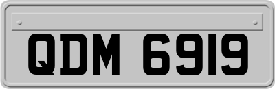 QDM6919