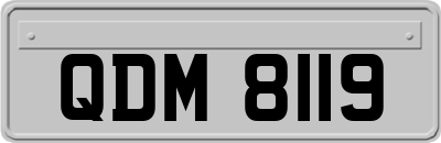 QDM8119