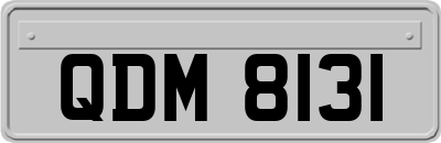 QDM8131
