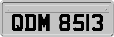 QDM8513