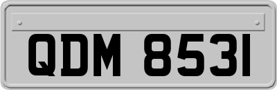 QDM8531