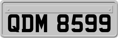 QDM8599