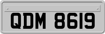 QDM8619