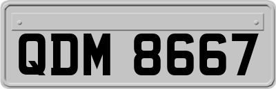 QDM8667