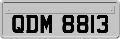 QDM8813