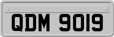 QDM9019