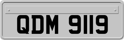 QDM9119