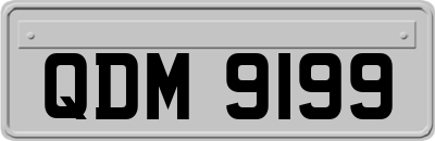 QDM9199