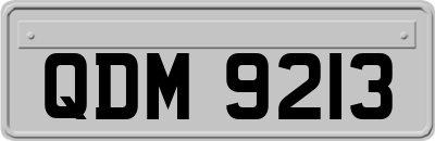 QDM9213