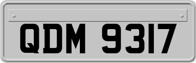 QDM9317