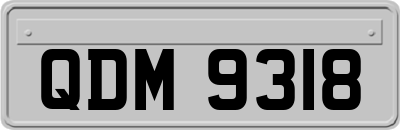 QDM9318