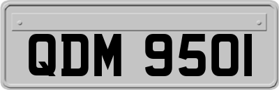 QDM9501