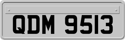 QDM9513
