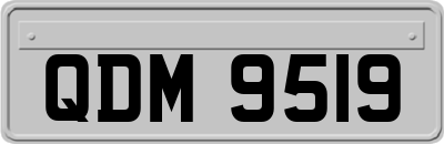 QDM9519