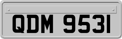QDM9531