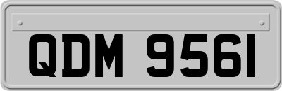 QDM9561