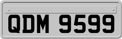 QDM9599