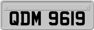QDM9619