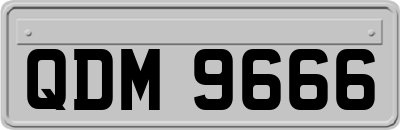 QDM9666