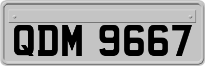 QDM9667