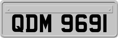 QDM9691