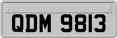 QDM9813