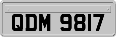 QDM9817