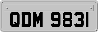 QDM9831