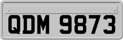 QDM9873