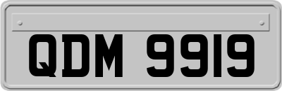 QDM9919
