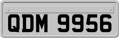 QDM9956