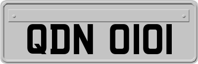 QDN0101