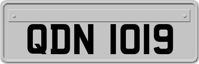 QDN1019