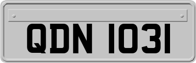 QDN1031