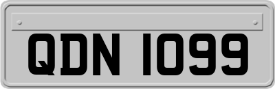 QDN1099