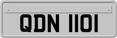 QDN1101