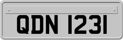 QDN1231