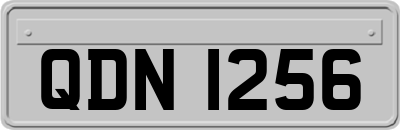 QDN1256