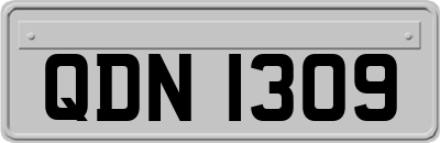 QDN1309