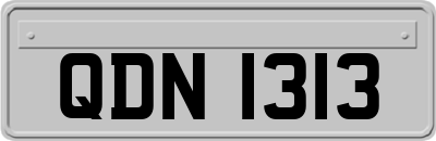 QDN1313
