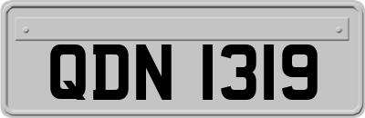 QDN1319