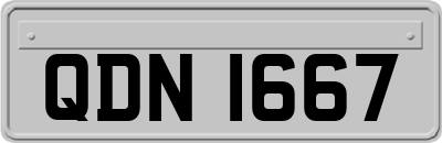 QDN1667